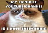 MY FAVORITE YOUTUBE GHANNEL IS LHATE EVERYTHING