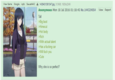 Archived on DesuArchive.org

Combination of "Why is She So Perfect?" and <a href="https://knowyourmeme.com/memes/green-text-stories">Greentext</a>
