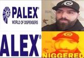 PALEX WORLD OF DISPENSERS ALEX IGGERED