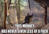 This monkey has never given less of a f---. <iframe width="400" height="225" src="https://www.youtube.com/embed/0vcBx2JtPws?rel=0" frameborder="0" allowfullscreen></iframe>