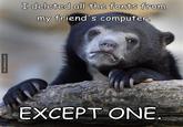 The bear is going to hell I deleted all the fonts from my friend's computer EXCEPT ONE