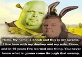 Somebody Once Told Me... Hello. My name is Shrek and this is my swamp. I live here with my donkey and my wife, Fiona, and in 15 years I've learned one thing. You never know what is gonna come through that swamp.