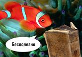 "source":https://vk.com/fishread?z=photo-89806150_359688668%2Falbum-89806150_00%2Frev