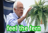 "Feel the fern":http://www.funnyism.com/i/funnypics/feelthefern on "Funnyism":http://www.funnyism.com/