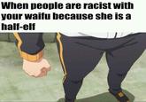 When people are racist witlh your waifu because she is a half-elf