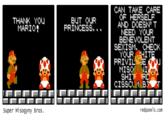 CAN TAKE CARE OF HERSELF AND DOESN T NEED OUR BENEMOLENT SEXISM CHECK TMARIOPRINCESS. THAN YOU . . OUR FRIVILE SHITRL CISSO B Super Misogyny Bros redpanels.com