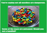 You're saying not all muslims are dangerous. Some of the m&m are poisoned. Would you eat a handful?
