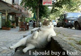 I should buy a boat ONUR KEBAP I should buy a boat