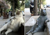 Tombili's Statue in Memoriam