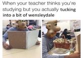 When your teacher thinks you're studying but you actually tucking into a bit of wensleydale