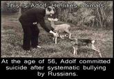 This is Adolf. He likes animals At the age of 56, Adolf committed suicide after systematic bullying by Russians.