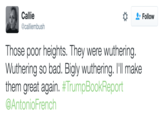 Callie @calliembush * Follow Those poor heights. They were wuthering. Wuthering so bad. Bigly wuthering. l'll make them great again. #TrumpBookReport @AntonioFrench