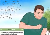 wiki How wikiHow to avoid getting caught masturbating to bees