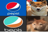 pepsi beois Soft drink Coca-Cola Pepsi dog dog like mammal dog breed dog breed group fauna shiba inu