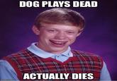 DOG PLAYS DEAD ACTUALLY DIES Smile facial expression person forehead photo caption chin hairstyle smile