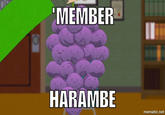MEMBER HARAMBE mematic.net South Park: The Fractured But Whole Mr. Garrison Eric Cartman purple text games