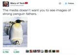 Mary of Teck @PutinistaJonez Follow The media doesn't want you to see images of strong penguin fathers. RETWEETS LIKES 2,785 4,380 Alaa,,21 ()-4
