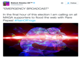Baked Alaska 3XTM @bakedalaska Follow EMERGENCY BROADCAST* In the final hour of this election I am calling on all MAGA supporters to flood the web with Rare Pepes! #RainOfFrogs