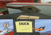 WHATGIFS COM DUCK