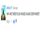 akslop LP 2 days ago WHY ARE THERE POLISH WINGED HUSARS EVERYWHERE?! Reply 1