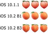 OS 10.1.1 iOS 10.2 B1 iOS 10.2 B3