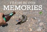 FRESHIN OUR MEMORIES