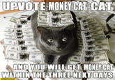 JPVOTE MONEY CAT CAT DAYS STARECAT.COM