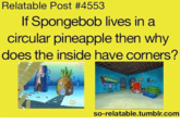Relatable Post #4553 If Spongebob lives in a circular pineapple then why does the inside have corners? so-relatable.tumblr.com