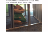 I'M COMING OUT OF MY CAGE AND I'VE BEEN DOING JUST FINE