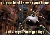 put your head between your knees and kiss your bum goodbye