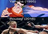 Yamcha (1995) Rousey (2015)