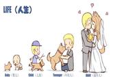 LIFE (人生) Baby (婴儿) Child (儿童) Teenager (年轻人) Adult (成年人)