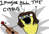 Jmajne ALL THE CITRUS