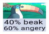 40% beak 60% angery