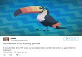 Matt @mattyoukhana Follow Toucannon is so f------ p----- I would be too if I was a woodpecker and became a god damin toucan 3:39 PM 15 Nov 2016