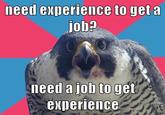 need experience to get a job? need a job to get experience