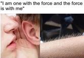 "l am one with the force and the force is with me"