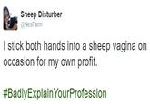 Sheep Disturber @NesFarm I stick both hands into a sheep vagina on occasion for my own profit. #BadlyExplainYourProfession