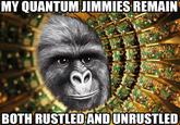 MY QUANTUM JIMMIES REMAIN BOTH RUSTLED ANDUNRUSTLED