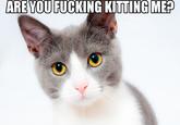 ARE YOU F------ KTTINGME?