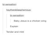 bi-sensation heythereblasphemous: bi-sensation Baby Jesus is a chicken wing Explain Tender and mild
