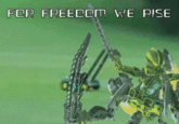 For Freedom We Rise FOR FREEDOM WE RISE