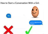 EGG How to Start a Conversation With a Girl: Hi you're eggstremely seggxy