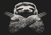 Sloth