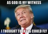 AS GOD IS MY WITNESS THOUGHT TURKEVS COULD FLY