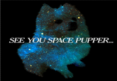 SEE YOUSPACE PUPPER..