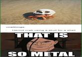 Hermit crab using a skull for a shell THAT IS SO METAL