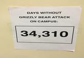 DAYS WITHOUT GRIZZLY BEAR ATTACK ON CAMPUS: 1 34,310