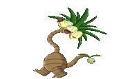 A majestic Alolan Exeggutor.  You can tell by the way this Alolan Exeggutor uses its walk that it is clearly a lady's man.  When asked for a comment, the Exeggutor had no time to spare for conversation.
