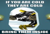 IFYOU ARE COLD THEY ARE COLD BRING THEM INSIDE